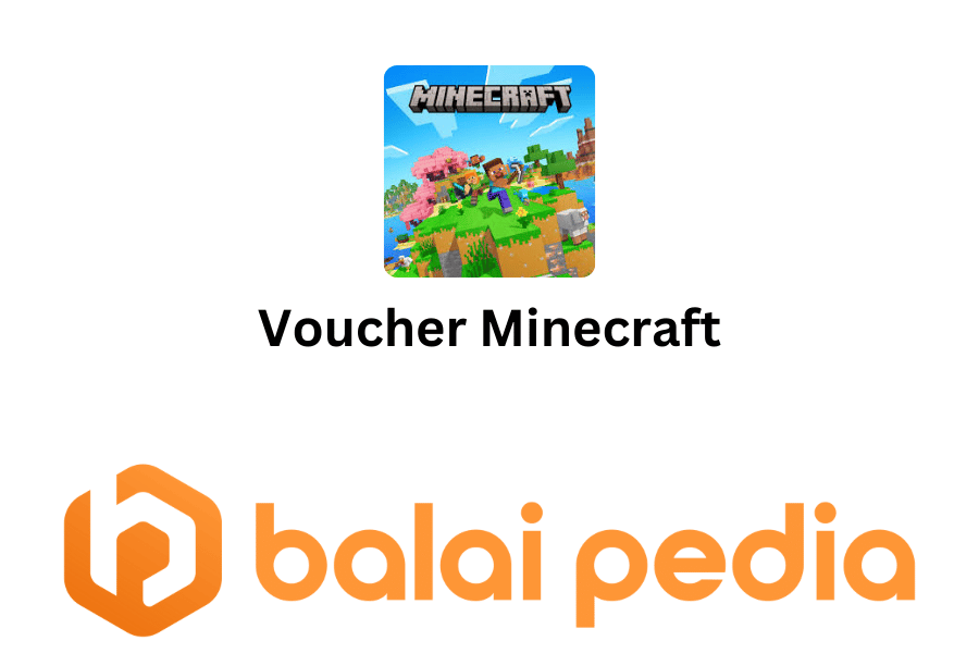 Voucher Minecraft