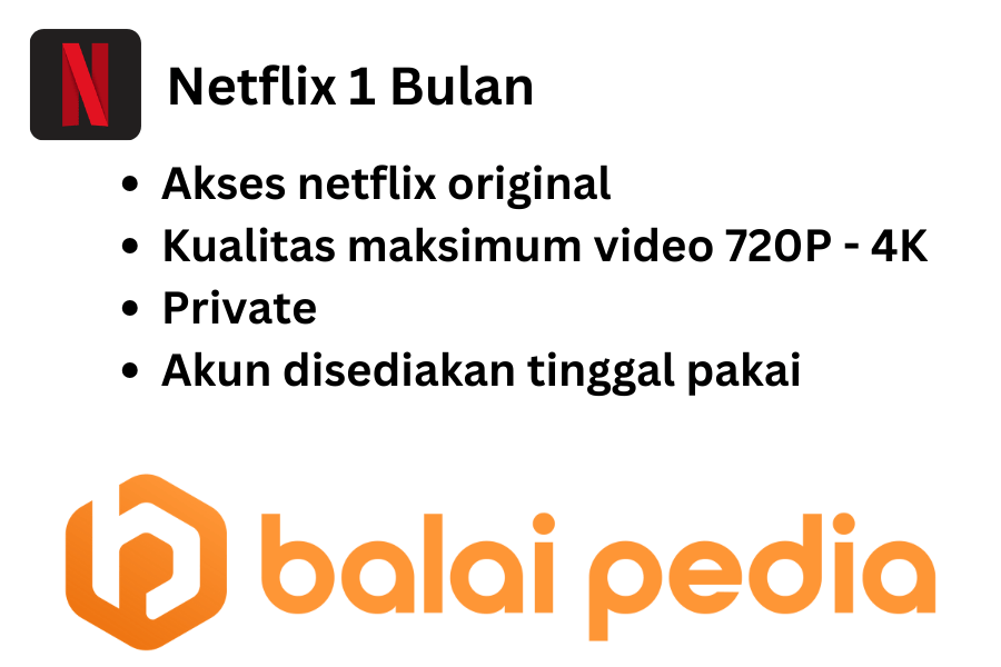 Netflix 1 Bulan